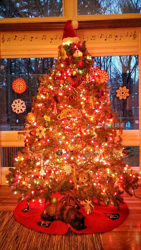 彩色圣诞树，睡觉的猫，雪花，音符