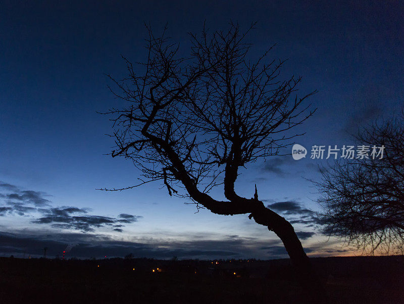 即将到来的夜晚，开姆尼茨市和老樱桃树