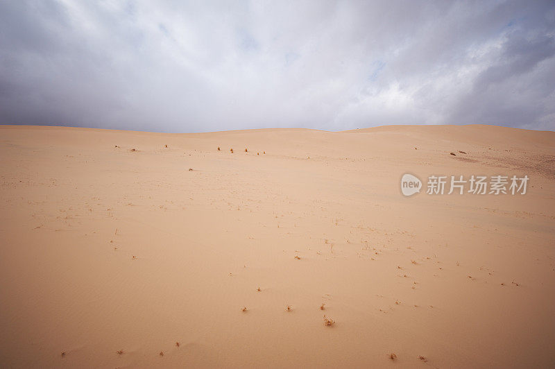 西奈沙漠中的沙丘