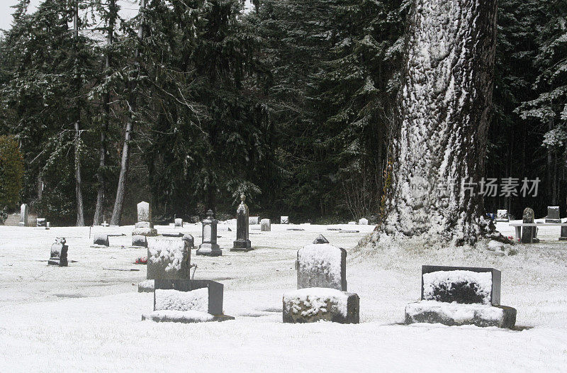 墓地的新雪