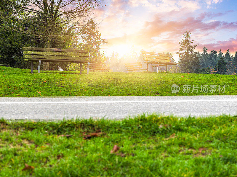 穿过斯坦利公园的空旷道路