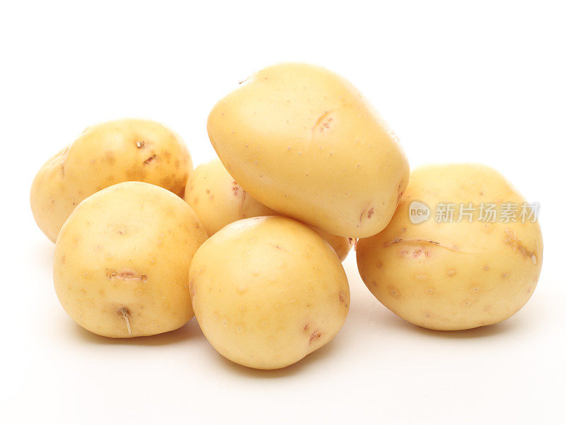 育空金土豆