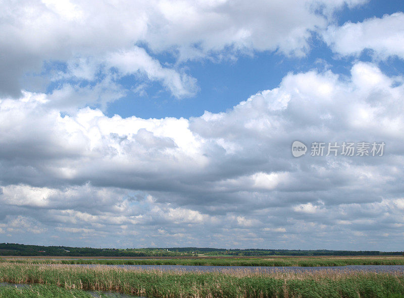 海岭国家野生动物保护区沼泽威斯康辛景观