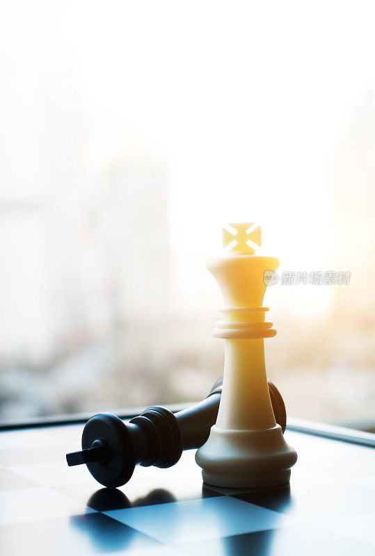 国际象棋白棋和黑棋王