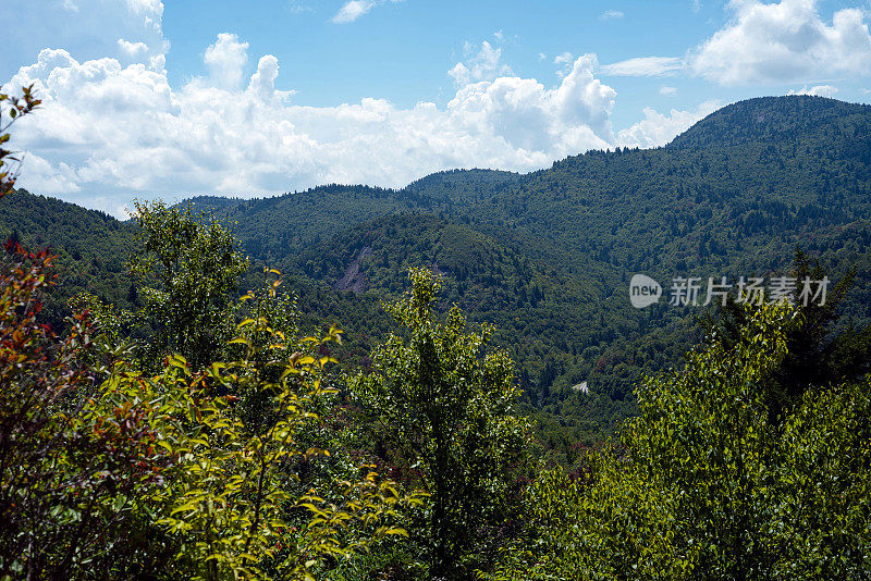 阿巴拉契亚山脉