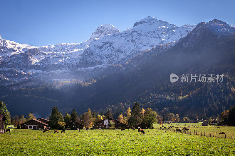 瑞士阿尔卑斯风景，奥伯西门塔尔