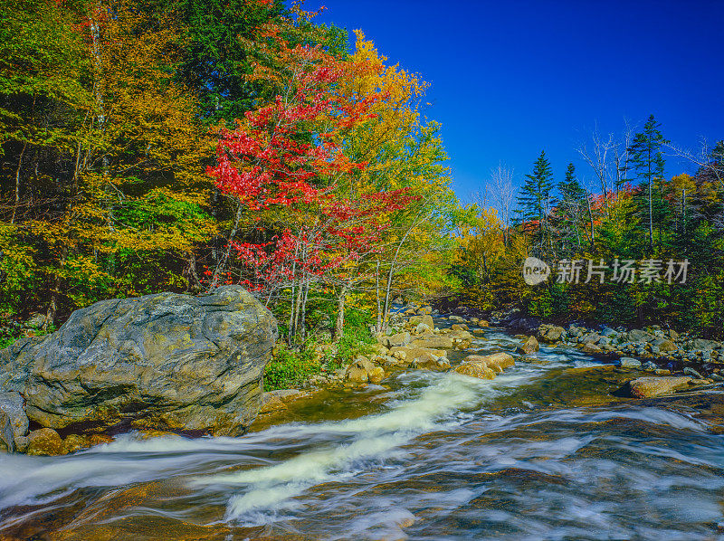 秋色森林与河流白山，NH