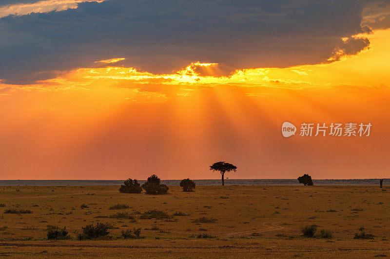非洲大草原上的日落