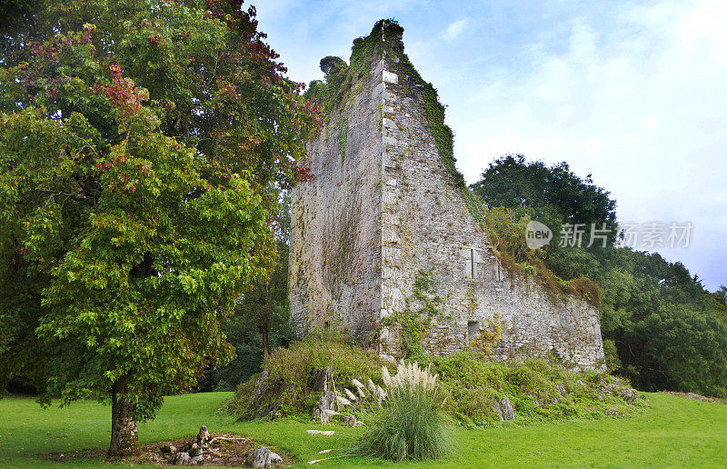 爱尔兰克里郡的爱尔兰城堡