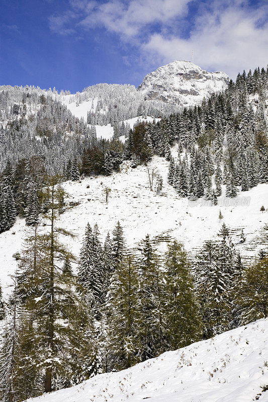 乡村冬季景观与雪在巴伐利亚