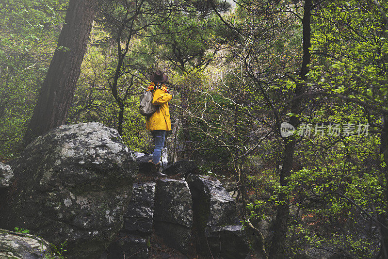 独自旅行者在森林中徒步旅行