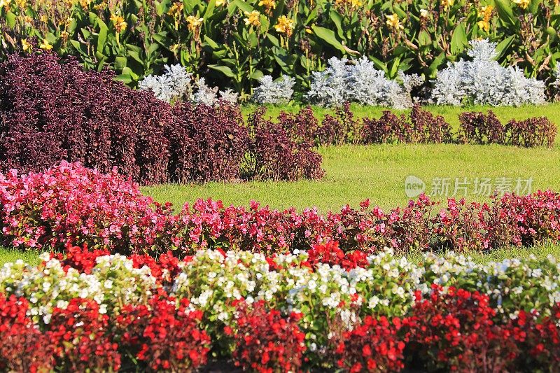 在维也纳中央公共公园Stadtpark中，有彩色花坛的观赏花园