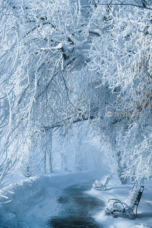 雪天早晨的小路