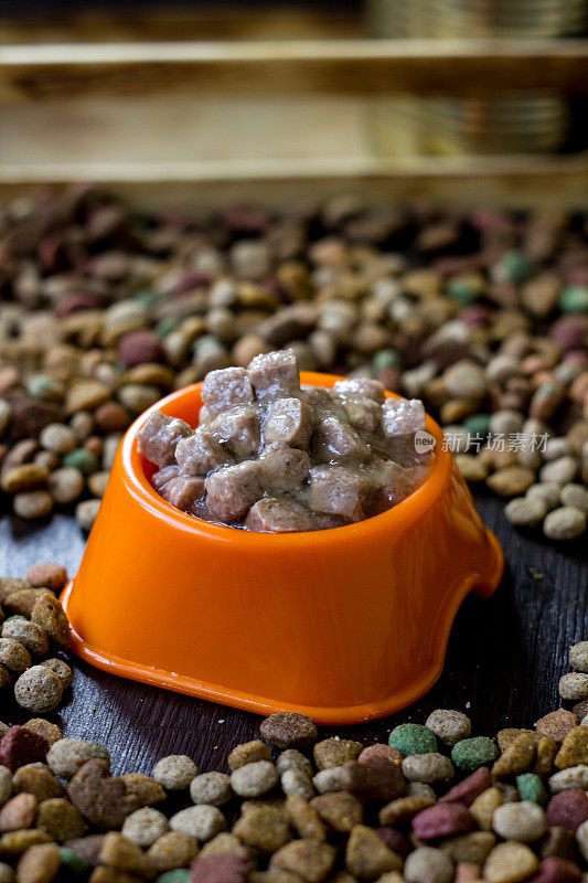 湿罐头宠物食品放在碗里，周围是干粮。