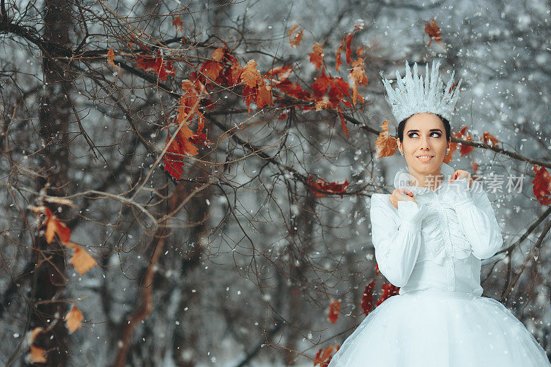 美丽的冰雪女王在冬季仙境