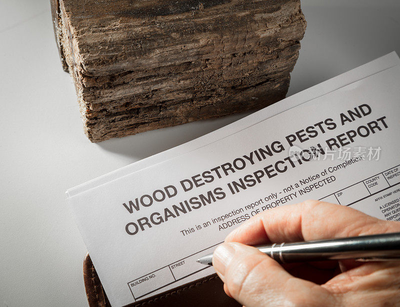 木材害虫检验报告