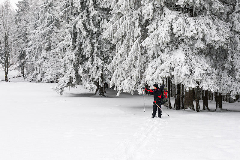 游客在白雪覆盖的森林里展示正确的方式。