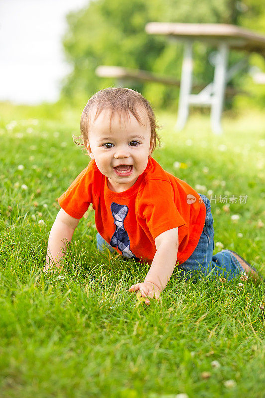 小男孩在公园的草地上爬行