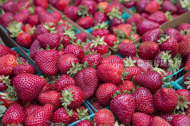 农贸市场有机草莓特写