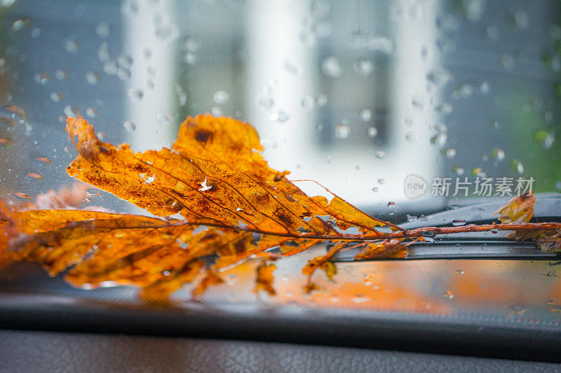 雨和车窗上的第一个秋天的迹象