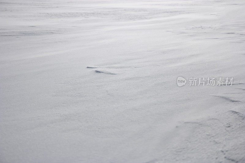 地上有雪