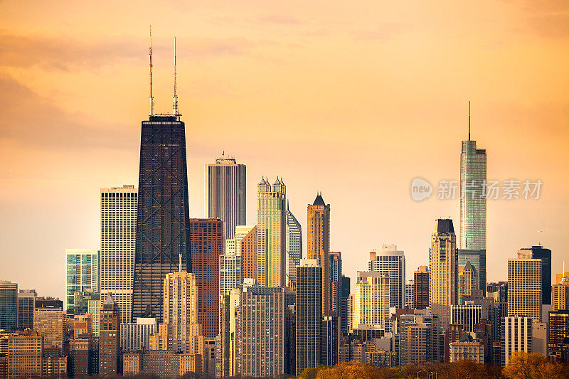 芝加哥市中心的天际线