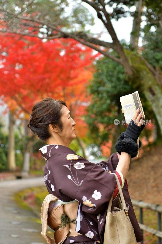 穿着和服的日本妇女在京都拍摄秋叶