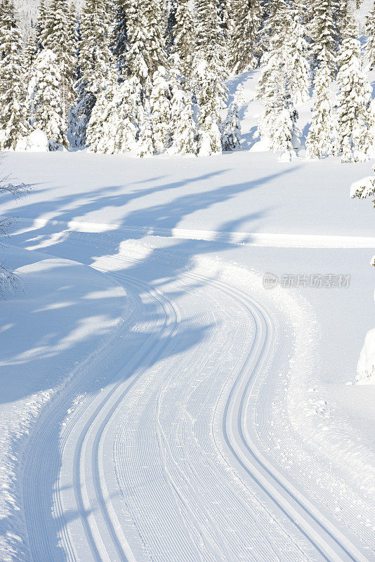 滑雪道通向冬季山上的云杉森林