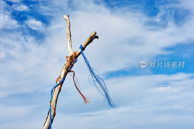 树枝上有彩色塑料绳在风中摇摆