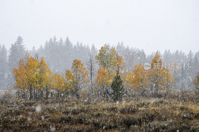 在美国怀俄明州的大提顿国家公园的提顿山脉早暴风雪