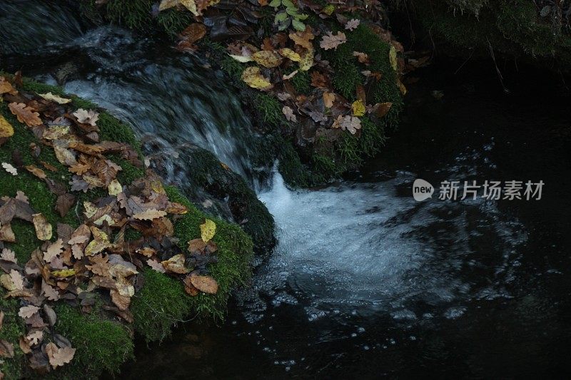 森林倒影在河水上