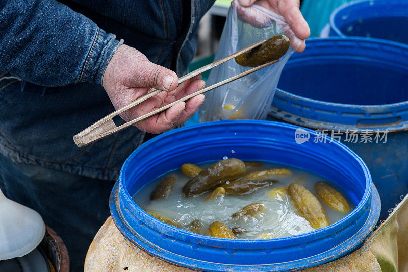 塑料蓝色桶中的绿色腌黄瓜