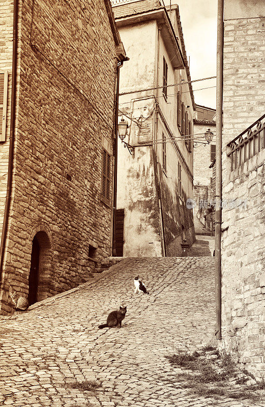 马奇地区意大利村庄里典型的铺满了猫的鹅卵石街道