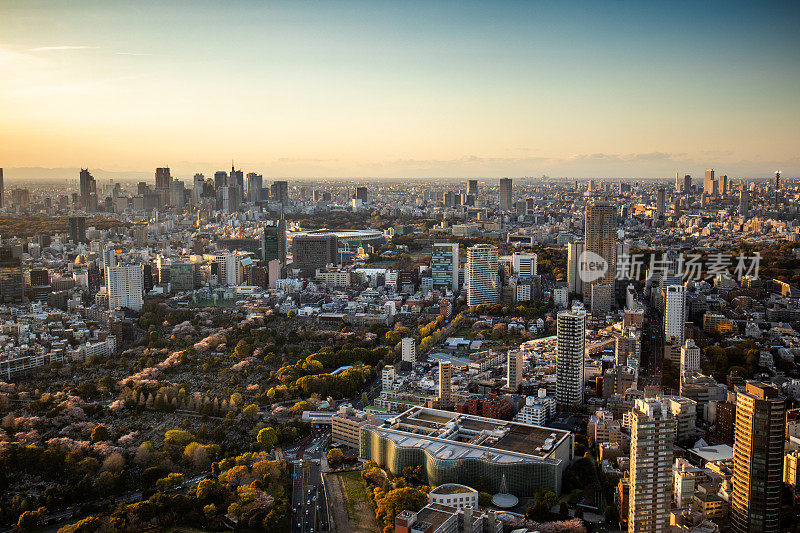 日本东京的现代城市全景