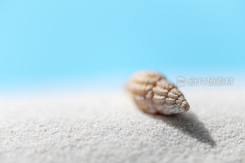 夏天海滩背景