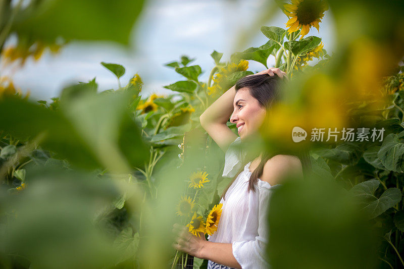 向日葵地里的美丽姑娘