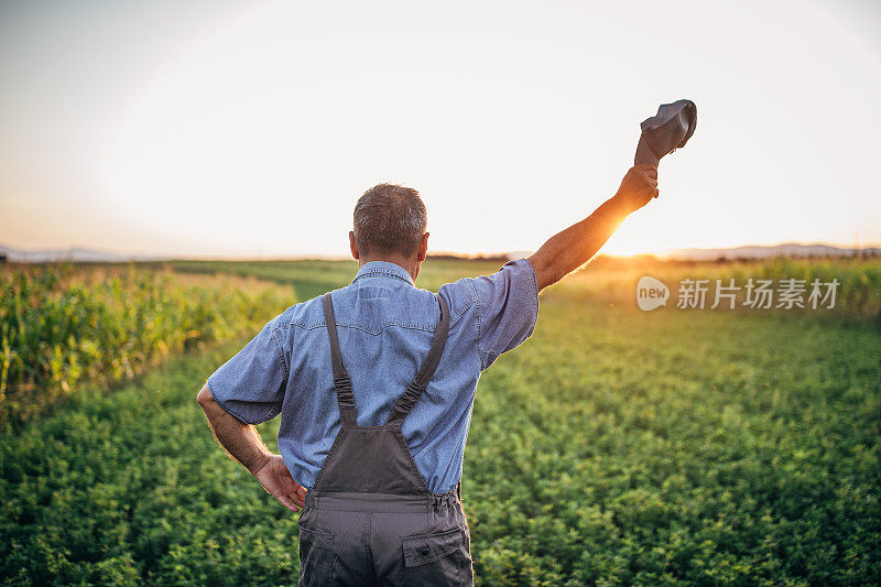 老农民看着夕阳挥动着帽子