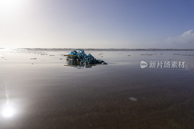 海滩上弃置的渔网