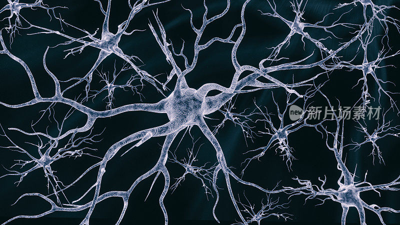 神经细胞在黑暗背景下形成网络