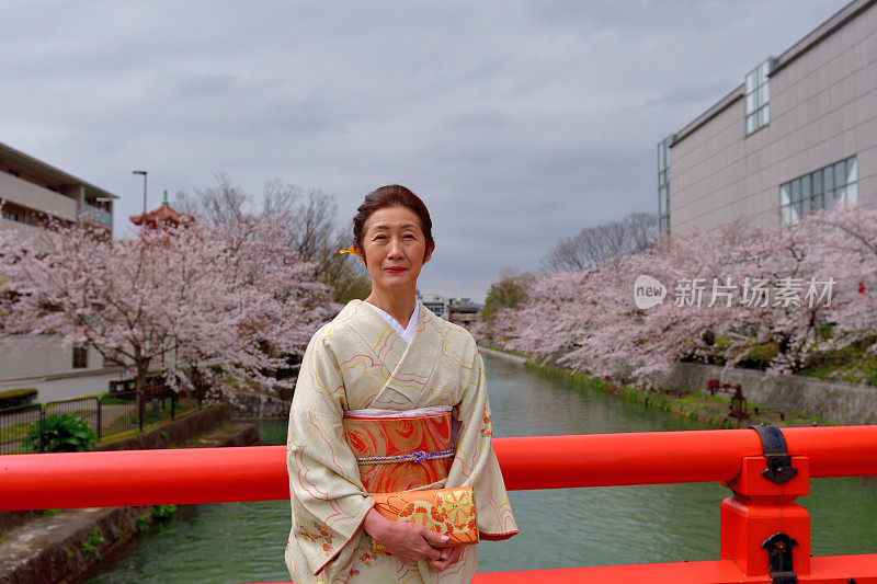 穿着和服的日本妇女在京都享受樱花盛开的季节