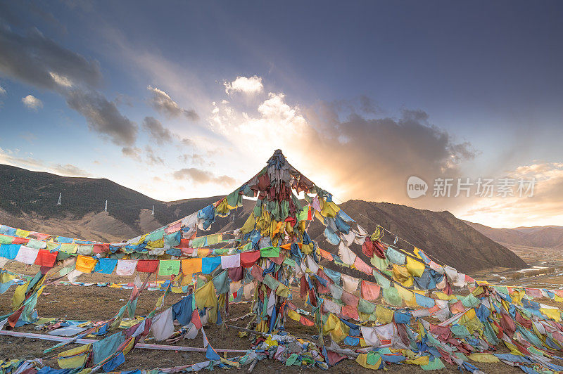 森林和树木景观纹理背景，色彩斑斓的自然景观风景亚丁，香格里拉，中国，西藏山区的秋天