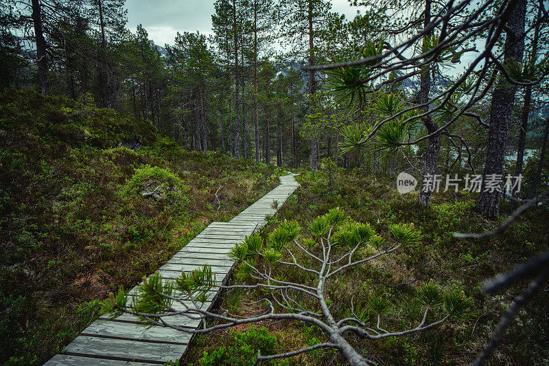 挪威的户外徒步旅行:荒野风景