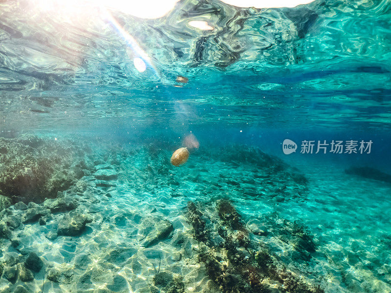 水下海洋风景