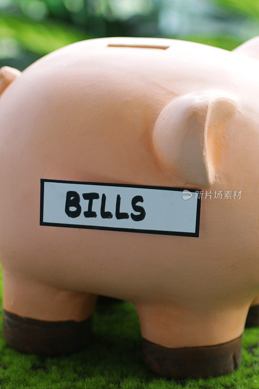 特写图像的小猪银行与插槽顶部与账单标签，家庭财务和储蓄的概念