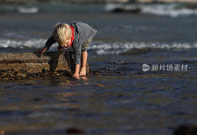 一个小男孩在海滩上玩耍，寻找贝壳。