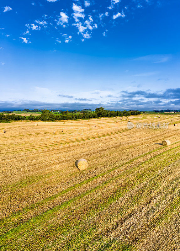 这是苏格兰西南部邓弗里斯和加洛韦的田野里，一群刚割下的稻草的圆捆发出的嗡嗡声