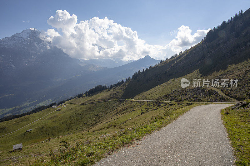 风景优美的乡村公路在清晨的瑞士阿尔卑斯山