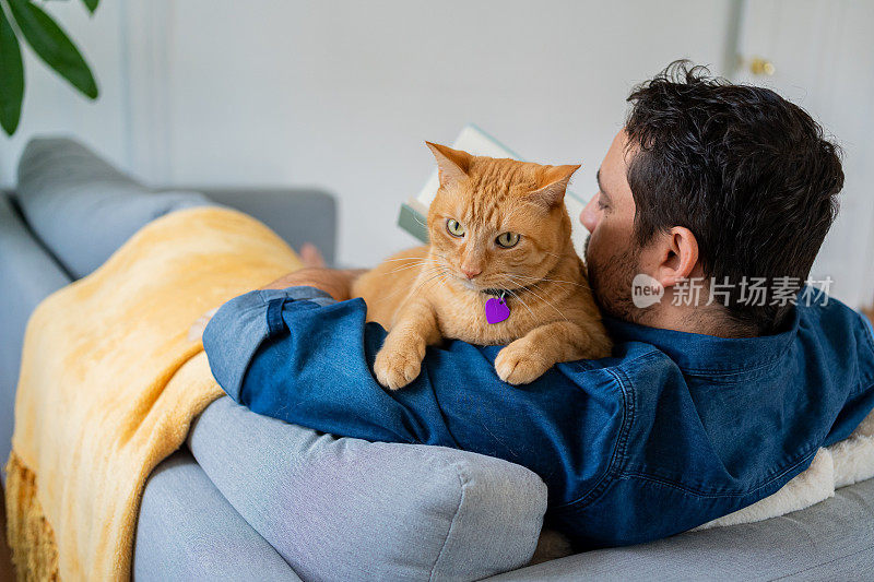 家里有只姜黄色猫的男人