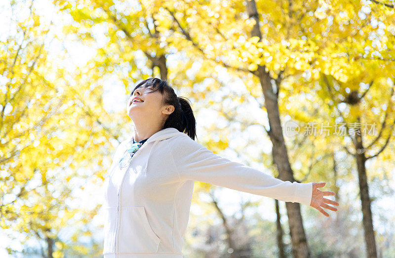 女人的胳膊伸在黄色的银杏树下