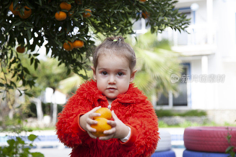 摘橘子的小女孩正在送橘子